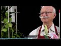 Floral Design Concepts and Skills