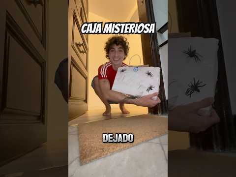 UN SEGUIDOR ME REGALÓ ESTO