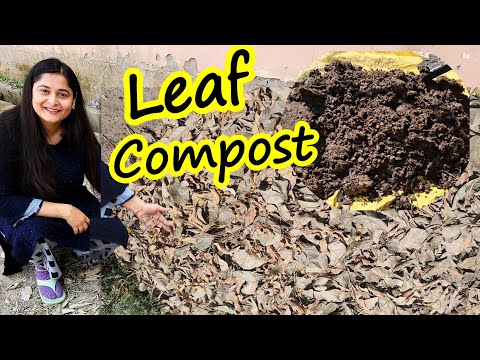 🔴LEAF COMPOST AT HOME WITH RESULTS IN SIMPLE STEPS/ सूखे पत्तों की खाद #leafcompost #gardening