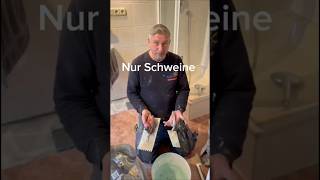 Das sind Schweine