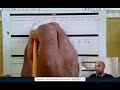 Transforming Functions: Key Concepts and Techniques