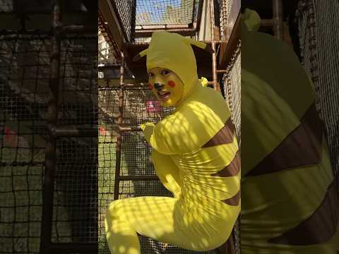 Monster Pocket funny video 😂😂😂 | MONSTER POCKET Best TikTok 2023  #shorts