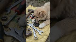 good helper