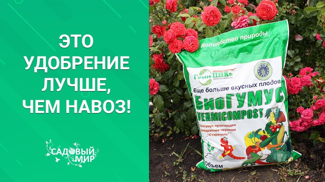 Это удобрение лучше, чем навоз!