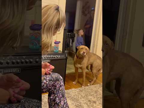 5か月ぶりに会った犬