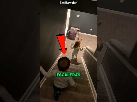 ¿Qué vio la niña que cambió todo? 😱 #catsoftiktok #catlovers #cat #cute #fyp #shortsvideo