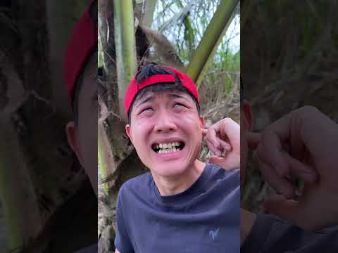 Survival Skills: Useful and Clever #outdoors #survival #campfire #bushcraft