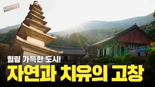 휴식과 치유의 혁신도시! 전북 고창의 치유학개론 | 테마기행길 | 24년 11월 01일 다시보기