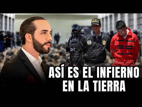 La REALIDAD dentro del CECOT Asi Bukele recibira a INMIGRANTES y Miembros del Tren de Aragua🤯