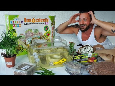 Insecticefa - Hormigas, grillos, cucarachas y gusanos JUNTOS !