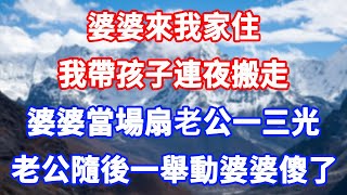 婆婆來我家住，我帶孩子連夜搬走，婆婆當場扇老公一耳光，老公隨後一舉動婆婆徹底傻了