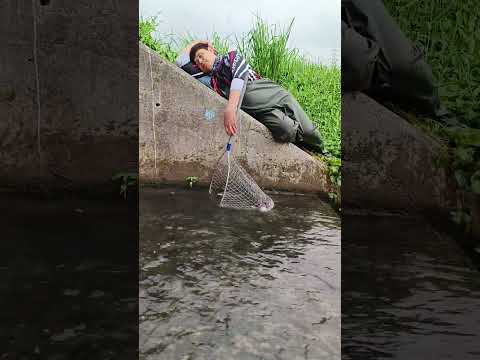 Yung Tinatamad ka na Mangisda pero May Huli pa din Amazing! #fishing #amazing #cambodia
