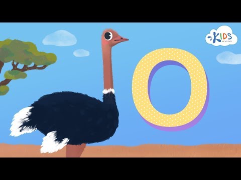 Letter O video for kids