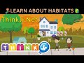 Animal Habitats and Adaptations