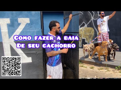 Quais sao as medidas de uma casinha de cachorro