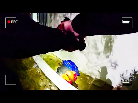 What Officers Didn't See Until It Was Too Late