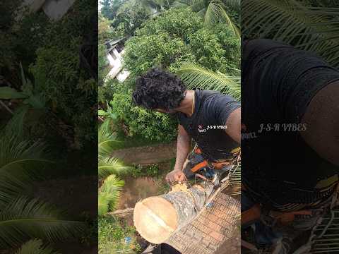 ഇതൊക്കെ ഒരു MM ന്റെ കളിയാണ് 😇😇😇😇#shortsfeed #shortvideos #status #shortvideo #short #shortsviral