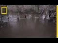 Life in the Wild: Colbert's Journey