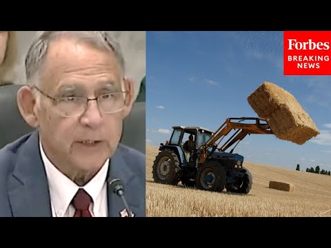 YouTube video thumbnail: John Boozman Slams Farmers Having To Talk To 'Multiple Different Entities To Get The Info They Need'