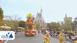 【公式】ディズニー・ハーモニー・イン・カラー | 東京ディズニーランド/Tokyo Disneyland