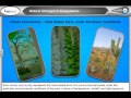 Ecological Succession and Climax Communities