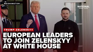 Can Zelenskyy and Trump broker peace in Russia-Ukraine war?