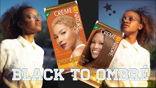 Dyeing My Natural Hair With Creme Of Nature At Home Videos