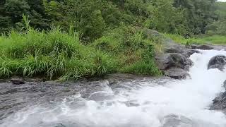 Salinan dari Suara Sungai Natural Tanpa Musik untuk Bayi Tidur Cepat dan Nyenyak #nature