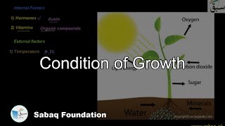Condition of Growth
