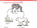 Understanding Food Chains and Consumers