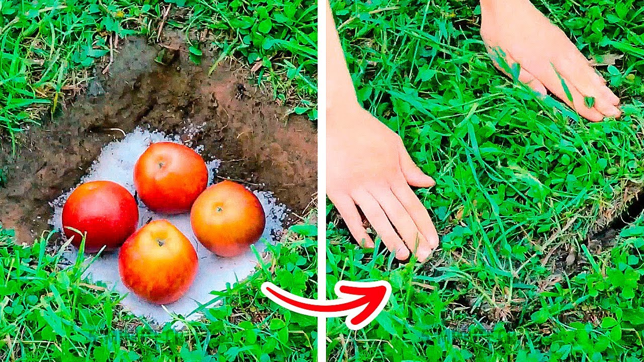 New Gardening Hacks That Will Blow Your Mind || Growing Hacks For Plant Lovers