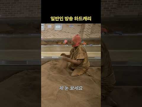 눈찜질아줌마