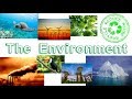 Environmental Awareness and Solutions