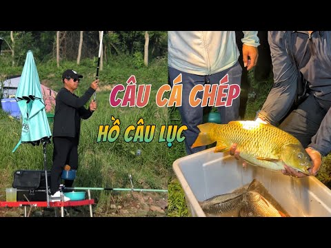 Câu cá chép hồ câu lục vén cá con múc nước #chungnguyenfishing #fishing