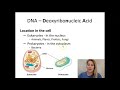 Exploring DNA Structure and Function