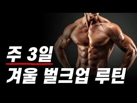 과학적인 '주 3일' 겨울 벌크업 운동 루틴