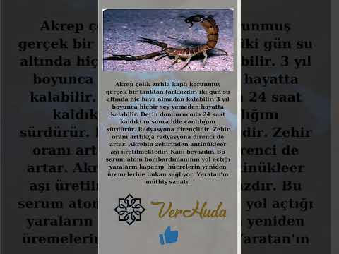 Akrep