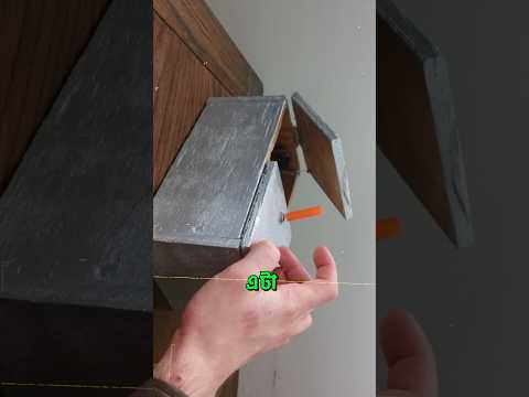 এটা হচ্ছে পৃথিবীর সবচেয়ে ওকাজের জিনিস