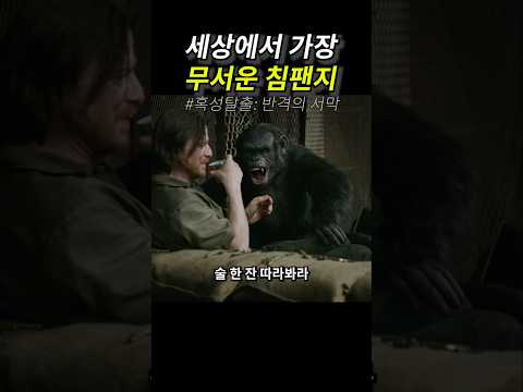 세상에서 가장 무서운 침팬지