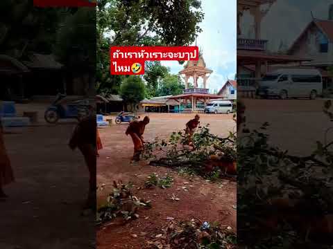 หัวเราะจะบๅปไหม🤣 #viralvideo #ตลก #funny #viral #comedy #หัวเราะ