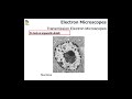 Microscopy Concepts and Techniques