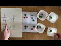 Understanding Fractions and Division