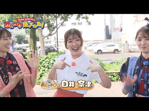 TEAM SHACHIと どまつり 踊ってみた！（2025年7月20日放送）