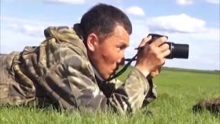 видео
