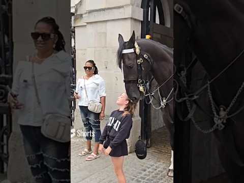 Horse knocks off kids' baseball cap #royalhorseguard
