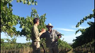 Grow Love Project Live Stream