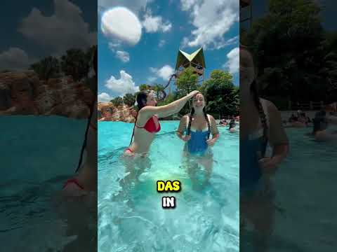 EIN DRACHE WURDE IN EINEM WASSERPARK GEFUNDEN! #youtubeshorts #youtube #shorts