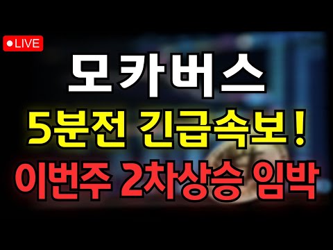 [모카버스 코인] 5분전 긴급속보! 이번주 2차상승 임박!