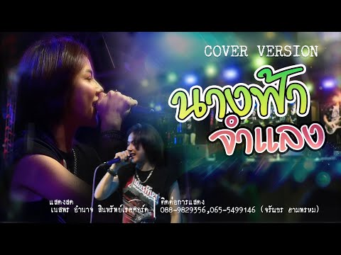 นางฟ้าจำแลง เล่นสด เนส พรอำนาจ【COVER VERSION】