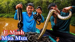 Về Rừng U Minh Giăng Câu Thả Lưới Cùng S.ăn Bắt Rừng Tràm